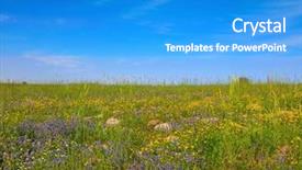  Presentation with heights - Presentation design having palestine - blossoming golan heights background and a teal colored foreground