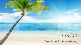  Presentation with coconut - Theme consisting of palm and beach background and a  colored foreground