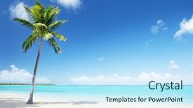  Presentation with palm beach - Audience pleasing PPT theme consisting of palm and beach backdrop and a cool aqua colored foreground