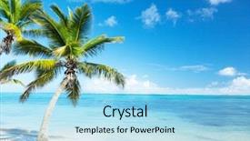  Presentation with sand ocean - Theme with palm and beach background and a light blue colored foreground
