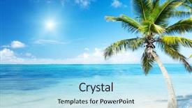  Presentation with palm beach - Beautiful theme featuring coconut tree - palm and beach backdrop and a light blue colored foreground