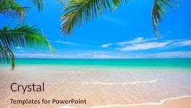 Presentation with palm beach - Cool new slides with palm and tropical beach backdrop and a lemonade colored foreground