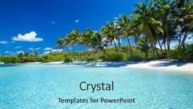  Presentation with palm beach - Presentation with palm and tropical beach background and a arctic colored foreground