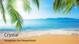  Presentation with palm beach - Theme having palm and tropical beach background and a coral colored foreground