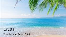  Presentation with palm beach - Amazing slide set having palm and tropical beach backdrop and a light blue colored foreground