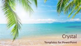  Presentation with palm beach - Colorful PPT theme enhanced with palm and tropical beach backdrop and a lemonade colored foreground