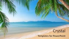  Presentation with palm beach - Beautiful slide set featuring palm and tropical beach backdrop and a lemonade colored foreground