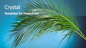  Presentation with waving palm branches - Cool new presentation design with palm branches on the blue backdrop and a  colored foreground