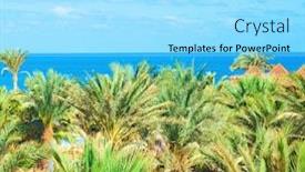  Presentation with crude palm - Theme consisting of palm forest by a sea background and a arctic colored foreground