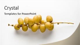  Presentation with abstract yellow gold and white - PPT theme featuring palm fruit - bunch of yellow un-ripened dates background and a white colored foreground