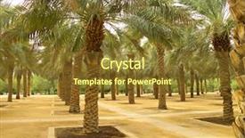  Presentation with garden city - Beautiful slides featuring palm garden in the riyadh backdrop and a tawny brown colored foreground