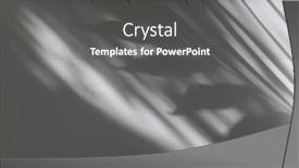  Presentation with light refraction - PPT theme having palm-leaf-and-soft-focus background and a dark gray colored foreground