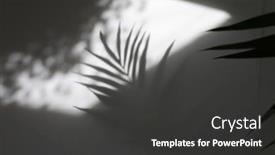  Presentation with refraction - Slide set with palm-leaf-and-soft-focus background and a dark gray colored foreground