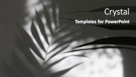  Presentation with light refraction - Presentation design with palm-leaf-and-soft-focus background and a dark gray colored foreground