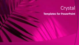  Presentation with light refraction - Slides consisting of palm-leaf-and-soft-focus background and a violet colored foreground