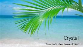  Presentation with sea sun - Colorful presentation theme enhanced with palm leaf blue sea and tropical white sand beach ander the sun backdrop and a light blue colored foreground
