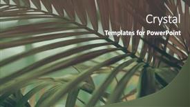  Presentation with tropical forest - Amazing slide set having palm-leaf-in-tropical-forest backdrop and a dark gray colored foreground