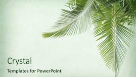  Presentation with antique paper texture - Cool new slide set with palm leaf old grunge antique backdrop and a sky blue colored foreground