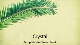  Presentation with antique paper texture - Slide set enhanced with palm leaf old grunge antique background and a soft green colored foreground