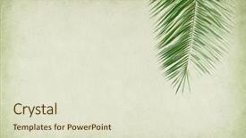  Presentation with antique paper texture - Amazing presentation design having scroll templates - palm leaf old grunge antique backdrop and a soft green colored foreground