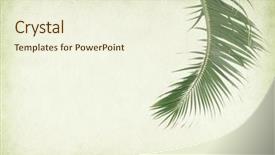  Presentation with antique paper texture - Audience pleasing presentation consisting of palm leaf old grunge antique backdrop and a cream colored foreground