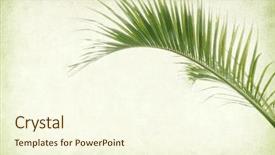  Presentation with antique paper texture - Beautiful presentation featuring palm leaf old grunge antique backdrop and a cream colored foreground