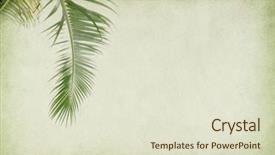  Presentation with antique paper texture - Colorful PPT theme enhanced with palm leaf old grunge antique backdrop and a soft green colored foreground