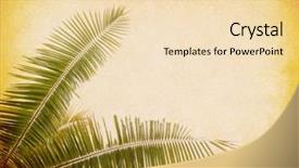  Presentation with antique paper texture - PPT theme featuring palm leaf old grunge antique background and a lemonade colored foreground
