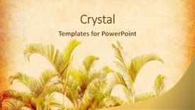  Presentation with antique paper texture - Slide deck featuring palm leaf old grunge antique background and a lemonade colored foreground