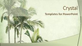  Presentation with antique paper texture - PPT theme consisting of palm leaf old grunge antique background and a cream colored foreground
