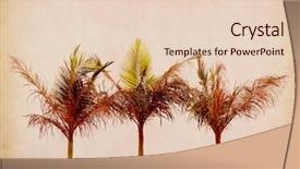  Presentation with antique paper texture - Beautiful PPT layouts featuring palm leaf old grunge antique backdrop and a lemonade colored foreground