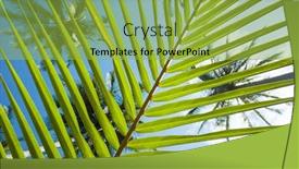  Presentation with green leaf - Colorful slide set enhanced with palm-leaf-striped-background-green backdrop and a yellow colored foreground