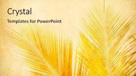  Presentation with torn paper collection of old - Presentation design enhanced with palm leaf with old paper background and a blonde colored foreground