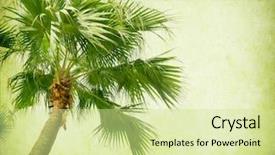  Presentation with old paper - Slide deck featuring palm leaf with old paper background and a soft green colored foreground