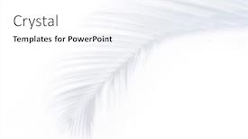  Presentation with palm sunday christian - Presentation consisting of palm-leaf-with-shadow background and a white colored foreground