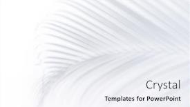  Presentation with copy space - Presentation theme featuring palm-leaf-with-shadow background and a white colored foreground