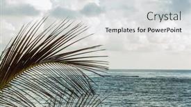  Presentation with palm leaves - Colorful presentation design enhanced with palm-leaves-and-and-caribbean backdrop and a light gray colored foreground