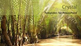  Presentation with mekong delta - Presentation theme with palm-leaves-in-delta background and a yellow colored foreground