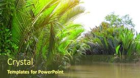  Presentation with mekong delta - Audience pleasing presentation theme consisting of palm-leaves-in-the-delta backdrop and a tawny brown colored foreground