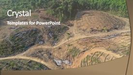  Presentation with palm oil - Slide deck having palm oil and rubber background and a gray colored foreground