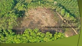  Presentation with palm oil - Audience pleasing PPT theme consisting of palm oil and rubber backdrop and a coral colored foreground