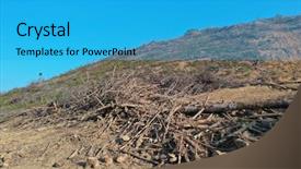  Presentation with palm oil - Slide set featuring palm oil and rubber background and a cyan colored foreground