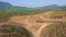  Presentation with palm oil - Amazing slide set having palm oil and rubber backdrop and a coral colored foreground