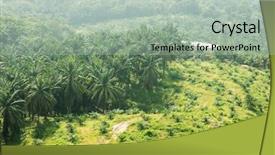  Presentation with palm oil - Presentation design consisting of oil farmland in seremban malaysia background and a mint green colored foreground