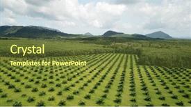  Presentation with oil palm plantation - Beautiful presentation design featuring palm oil plantation aerial photo backdrop and a tawny brown colored foreground