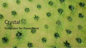  Presentation with oil palm plantation - Colorful presentation enhanced with palm oil plantation aerial photo backdrop and a yellow colored foreground