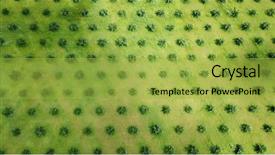  Presentation with oil palm plantation - PPT layouts featuring tropical food malaysia - palm oil plantation aerial photo background and a yellow colored foreground