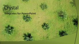  Presentation with oil palm plantation - Theme enhanced with palm oil plantation aerial photo background and a yellow colored foreground