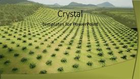  Presentation with plantation palm oil - Amazing PPT layouts having palm oil plantation aerial photo backdrop and a yellow colored foreground