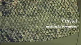  Presentation with oil palm plantation - Amazing theme having palm oil plantation aerial photo backdrop and a violet colored foreground